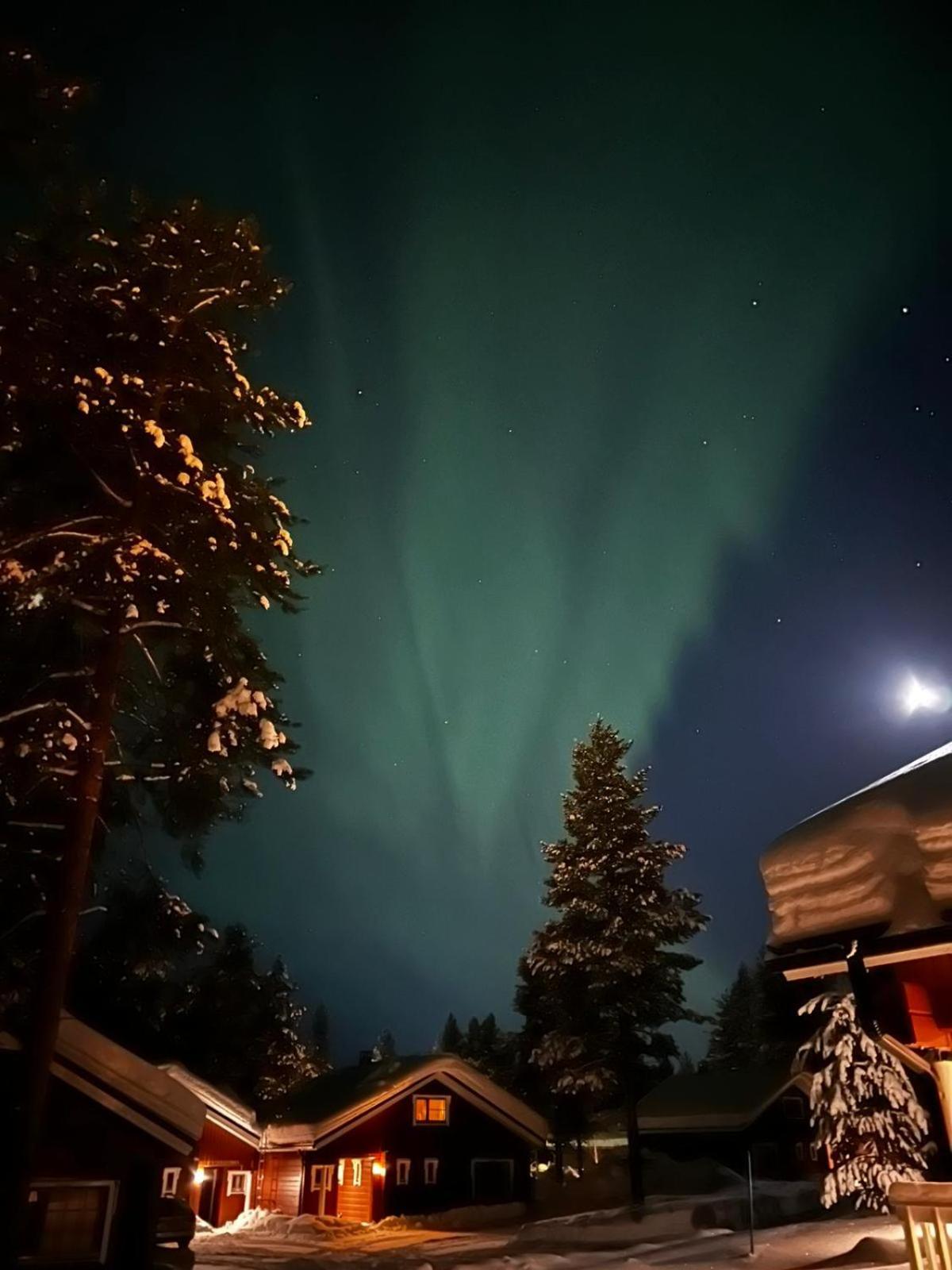 Chalet Cheminee Sauna Pas De Drap Pas De Serviette Menage Compris Сіркка Екстер'єр фото